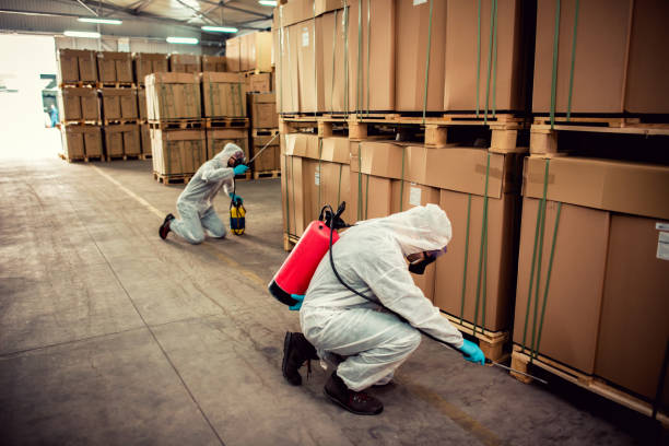 Best Pest Control Near Me  in Dania Beach, FL