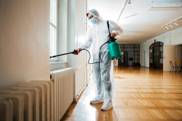 Wasp Removal Services in Dania Beach, FL